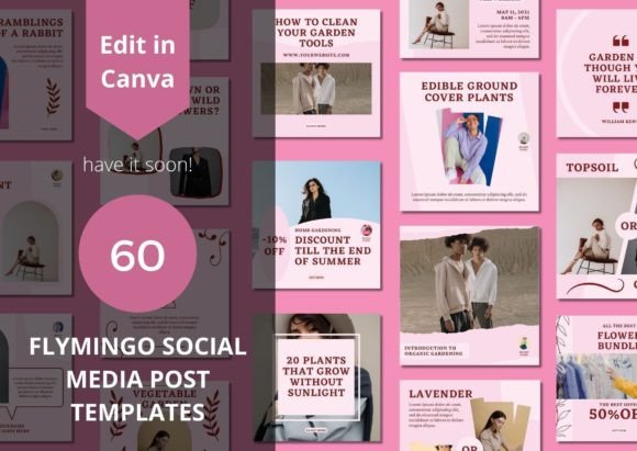 60 Flymingo Social Media Canva Templates for Your Brand